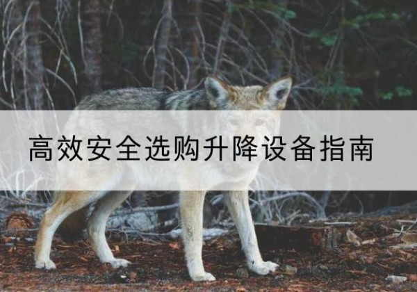 郯城升降货梯厂家推荐-*安全选购升降设备指南