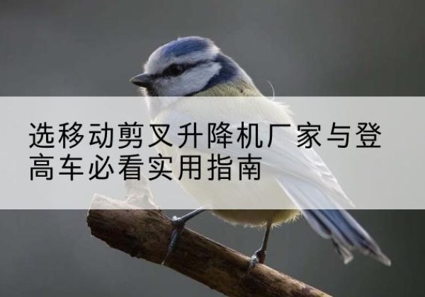 郯城电动升降机厂家-选移动剪叉升降机厂家与登高车必看实用指南